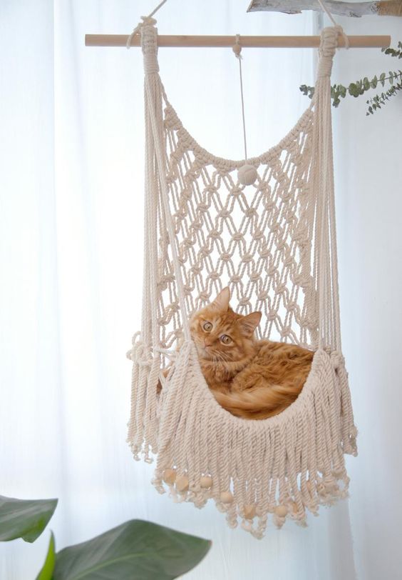 Ideas De Camas A Macrame Para Tu Gato Ideas En Minutos 46 Off 8334